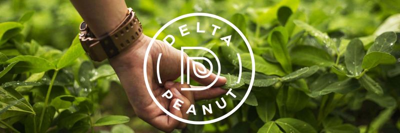 Delta Peanut LLC - supplier and manufacturer from United States