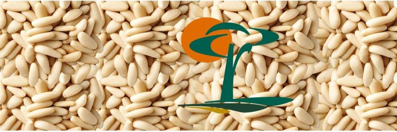 LUIS Y JOAQUIN LOZANO, S.L. - supplier and manufacturer from Spain