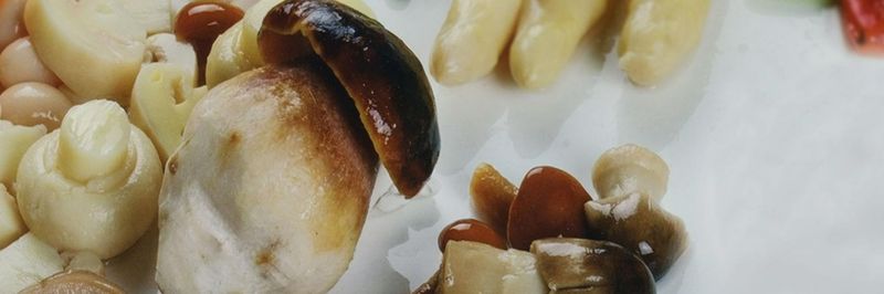 Vegagel, S.L. - supplier and manufacturer from 스페인