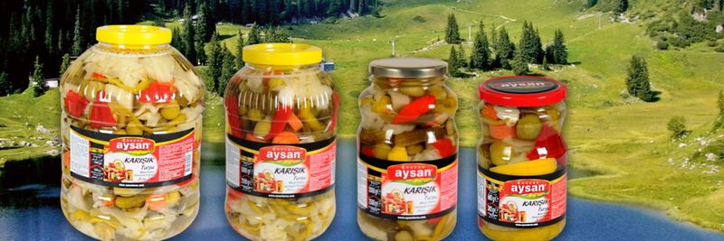 Aysan Zeytin Gıda Urunler San. Tic. Ltd. Sti. - supplier and manufacturer from 튀르키예