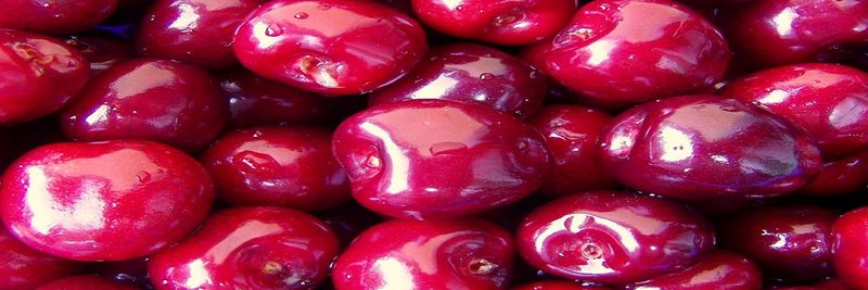 Premium Fruit Ltd. - supplier and manufacturer from 헝가리
