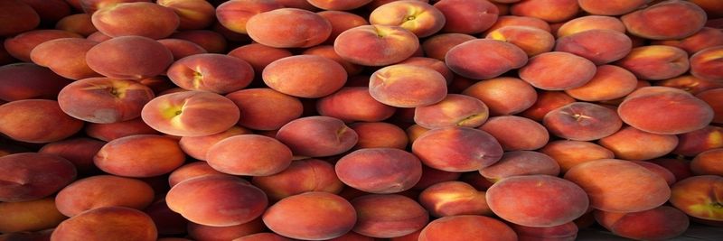 HMC Farms - supplier and manufacturer from 미국