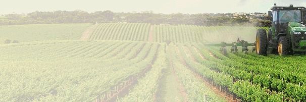 Pacific Grain & Foods, LLC - supplier and manufacturer from 미국