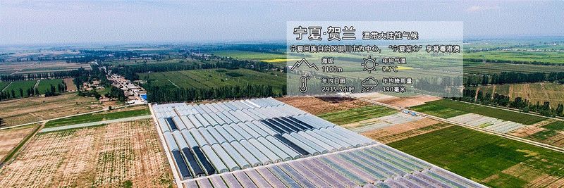 Shenzhen Chengwu Jinshi Agricultural Development (Gold Rock Agriculture) - supplier and manufacturer from 중국