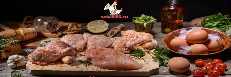 Avis 3000 - supplier and manufacturer from 루마니아