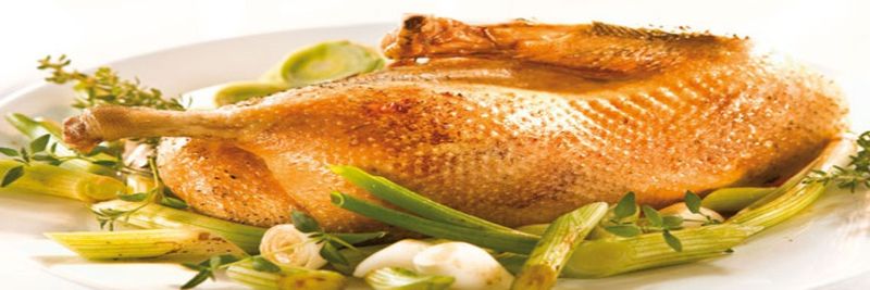 Dithmarscher poultry GmbH & Co. KG - supplier and manufacturer from 독일
