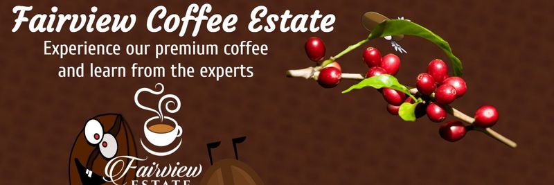 Fairview Coffee Estate - supplier and manufacturer from 케냐