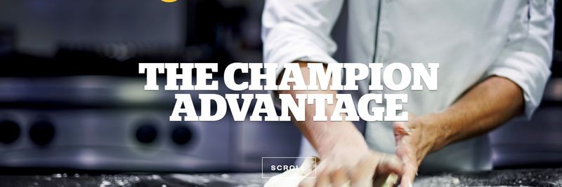 Champion Flour - supplier and manufacturer from 뉴질랜드