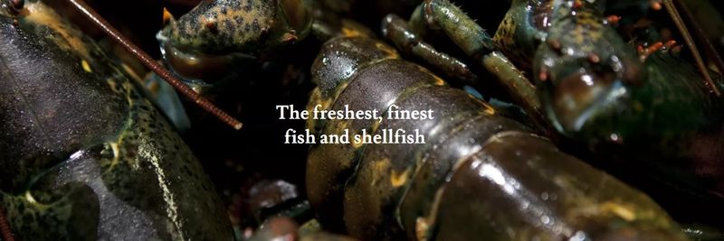Selsea Fish & Lobster Co. Ltd. - supplier and manufacturer from 영국