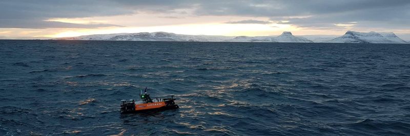 Arctic Fish - supplier and manufacturer from Iceland