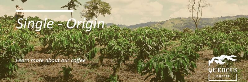Quercus Coffee - supplier and manufacturer from 콜롬비아
