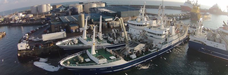 Denholm Seafoods Ltd - supplier and manufacturer from 영국