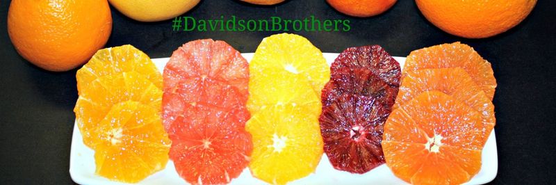 Davidson Brothers - supplier and manufacturer from United States