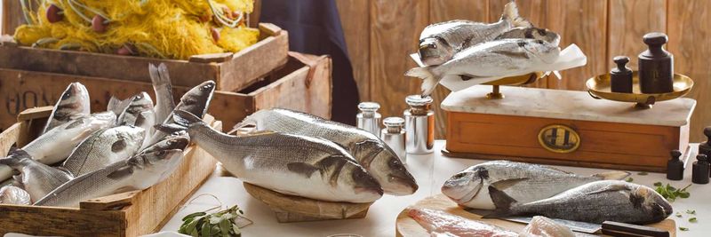 Kefalonia Fisheries - supplier and manufacturer from 그리스