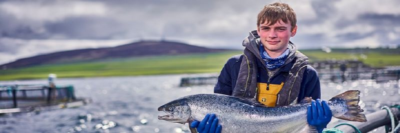 Cooke Aquaculture Scotland Ltd - supplier and manufacturer from United Kingdom