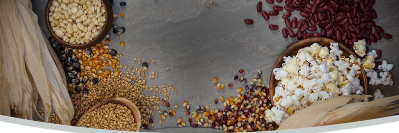 Pleasant Grove Farms - supplier and manufacturer from 미국