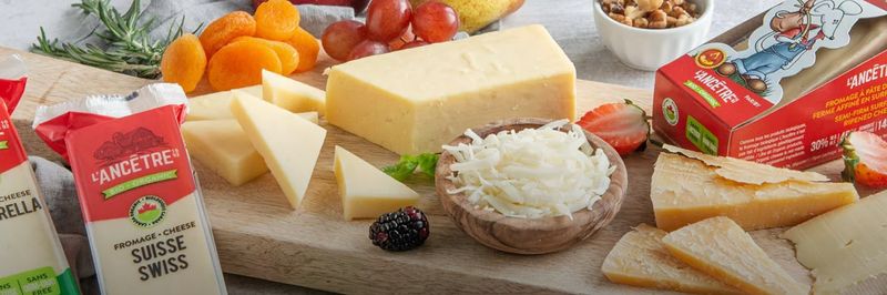 Fromagerie l'Ancêtre Inc - supplier and manufacturer from 캐나다