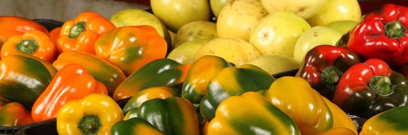 Frutas Selectas del Valle - supplier and manufacturer from 콜롬비아