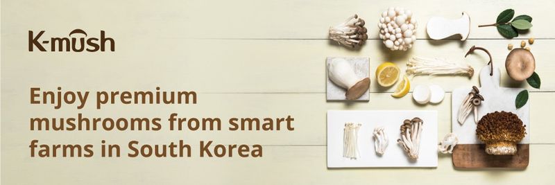 K-MUSH - supplier and manufacturer from 대한민국