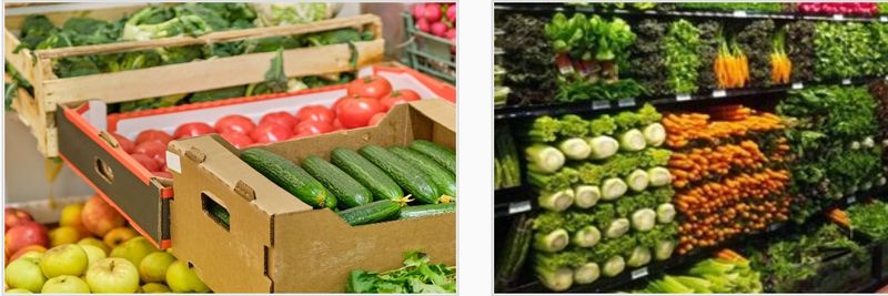 Baoding Mai Ke Green Food Co., Ltd. - supplier and manufacturer from 중국