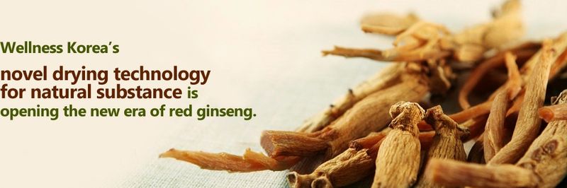 Wellness Korea Co.,Ltd. - supplier and manufacturer from 대한민국