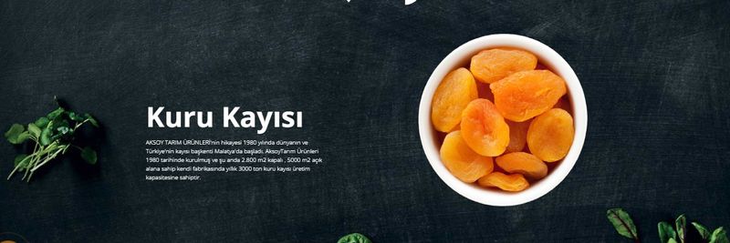 AKSOY TARIM URUNLERI - supplier and manufacturer from 튀르키예
