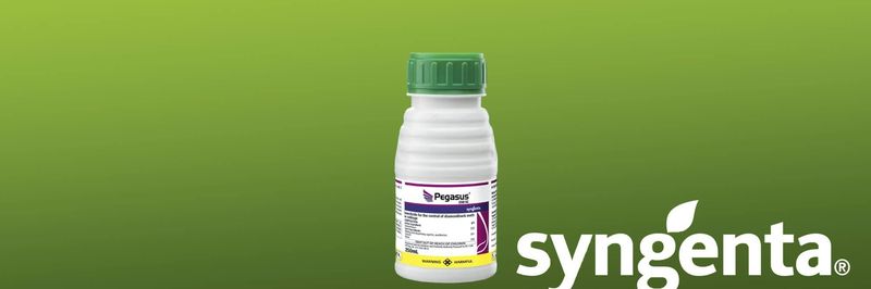 Syngenta Global - supplier and manufacturer from 남아프리카공화국