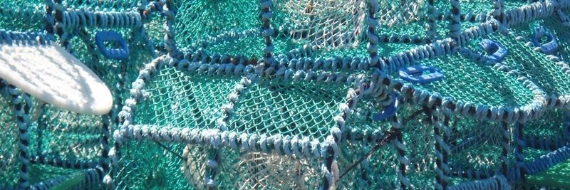 FAO27 Ltd - supplier and manufacturer from United Kingdom