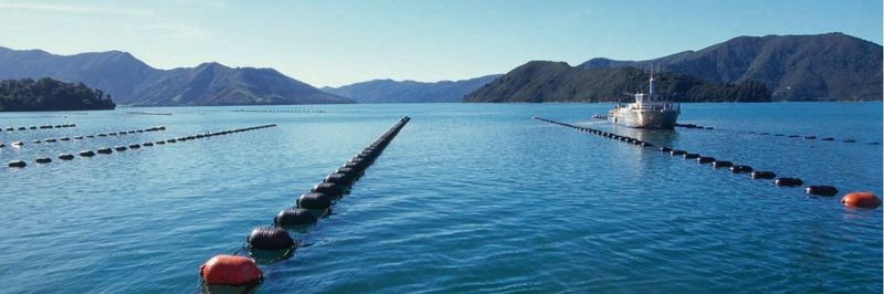 Aroma NZ Ltd - supplier and manufacturer from New Zealand