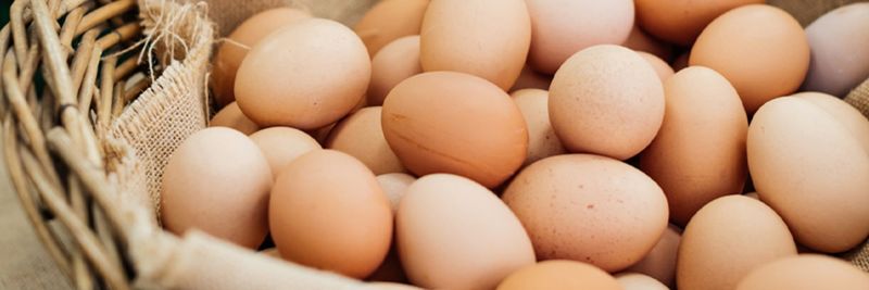 Clonarn Clover - O’Egg - supplier and manufacturer from Ireland