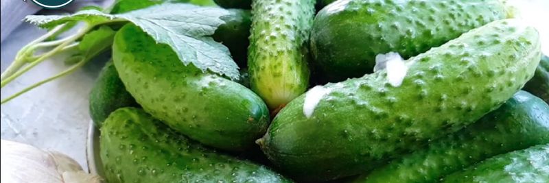 Topor's Pickle Co., Inc - supplier and manufacturer from 미국