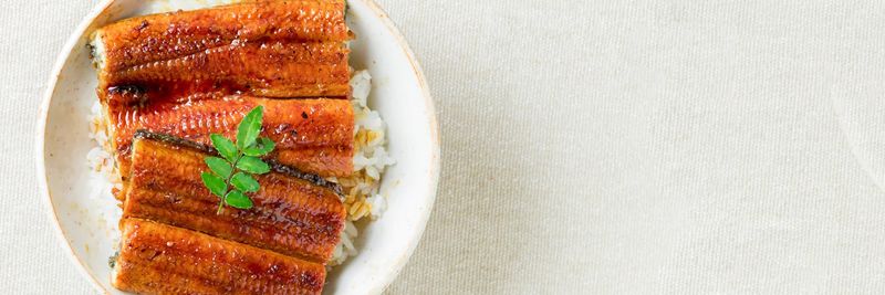 American Unagi, LLC - supplier and manufacturer from United States