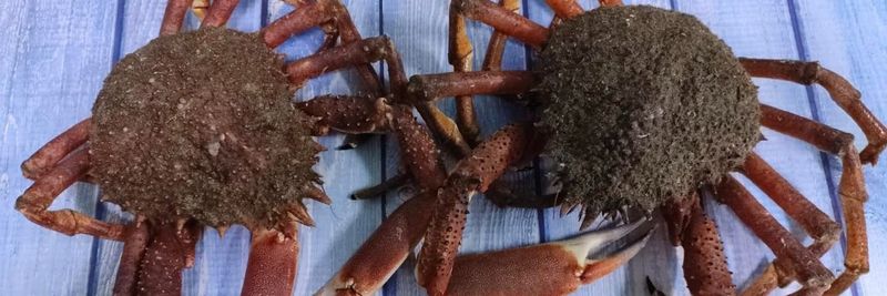 Fyne Fish - supplier and manufacturer from United Kingdom
