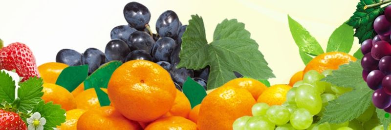 Jiangxi Hongyuan Fruit Industry - supplier and manufacturer from China