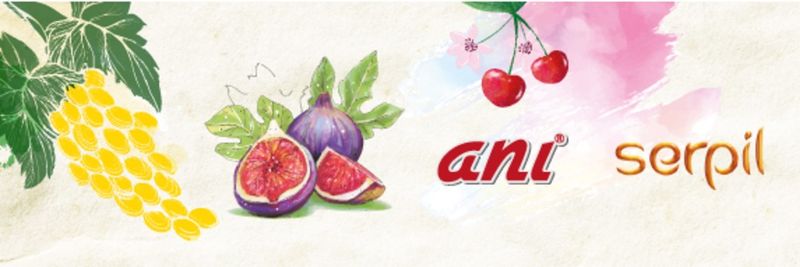 Anı Tarım Fresh Fruits - supplier and manufacturer from 튀르키예