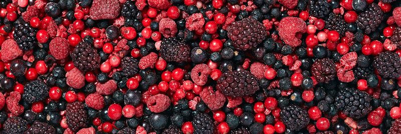 Quadrum Foods - supplier and manufacturer from 폴란드