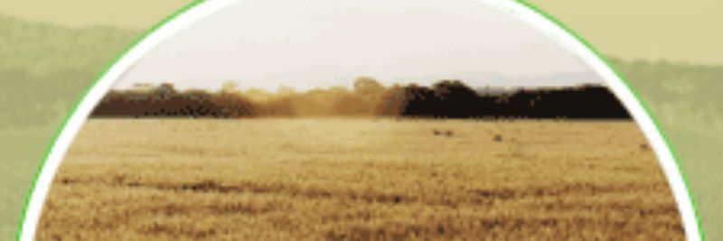 Estancia Buenaventura S.R.L. - supplier and manufacturer from Argentina