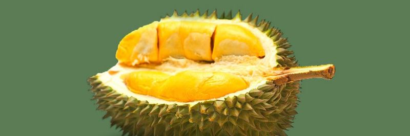 Dulai Fruits Sdn Bhd - supplier and manufacturer from 말레이시아