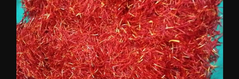 Azafranes Vega De Lezuza - supplier and manufacturer from 스페인