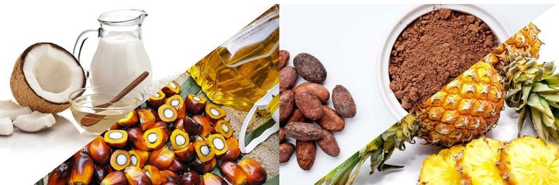 KITRA INDUSTRIES (M) SDN BHD - supplier and manufacturer from 말레이시아