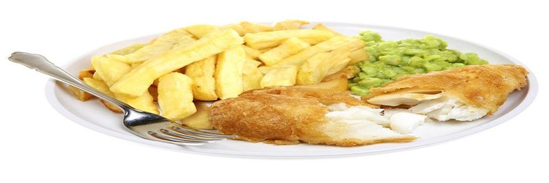 Xpressfish Ltd - supplier and manufacturer from 영국