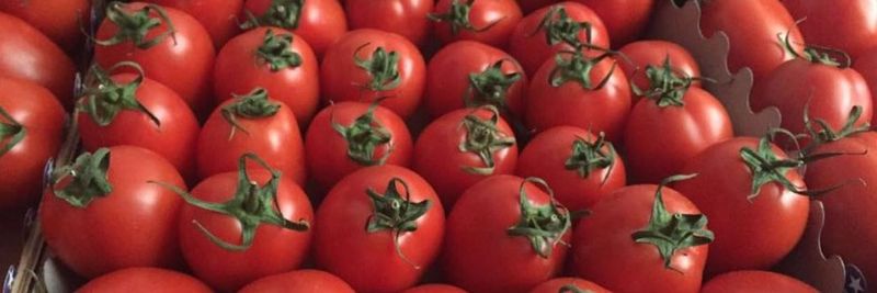 Altun Food - supplier and manufacturer from 튀르키예