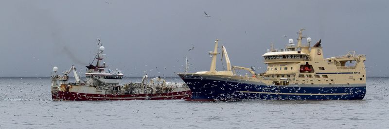 NORGES SILDESALGSLAG SA - supplier and manufacturer from 노르웨이