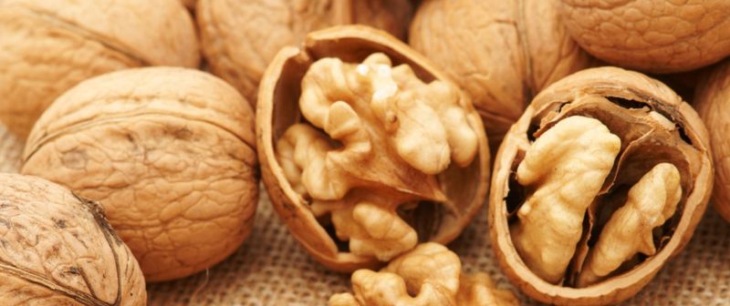 Ukr-walnut Llc - supplier and manufacturer from Ukraine
