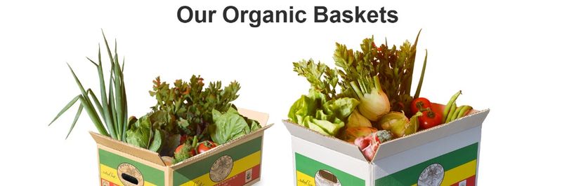 Shorashim Farm - supplier and manufacturer from 이스라엘