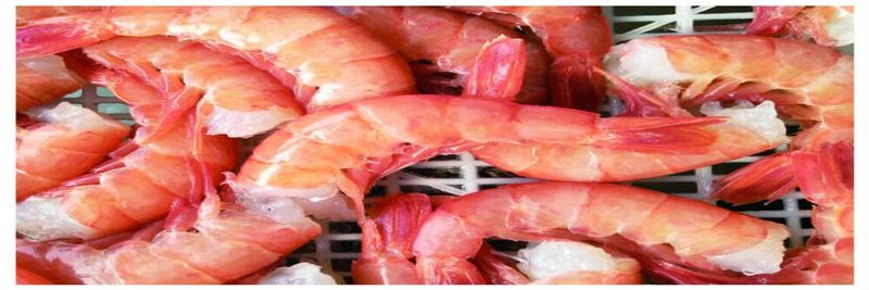 Changli Haidong Aquatic Product and Foodstuff - supplier and manufacturer from 중국