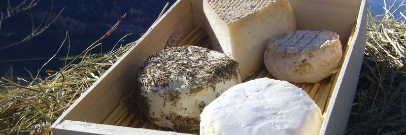 LA FERME DES CABRIOLES - supplier and manufacturer from 프랑스