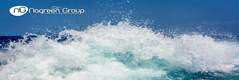Nagreen Group SL - supplier and manufacturer from 스페인