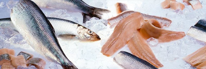 Hopen Fisk AS - supplier and manufacturer from 노르웨이