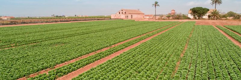 BIO BEHR IBERIA SLU - supplier and manufacturer from 스페인